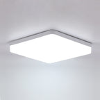 Ceiling Light - White Plastic Frame, White Light