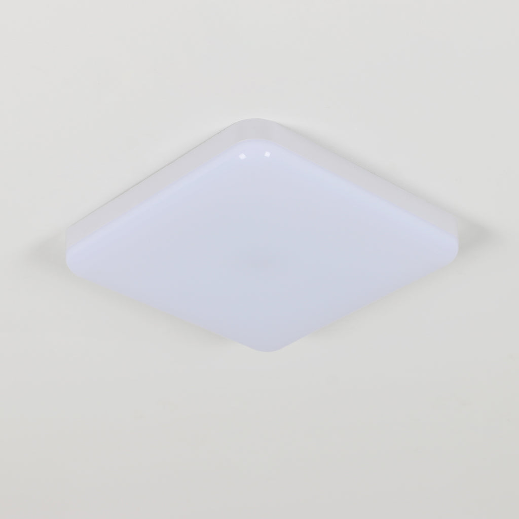 Ceiling Light - White Plastic Frame, White Light
