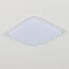 Ceiling Light - White Plastic Frame, White Light