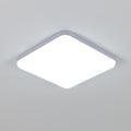 Ceiling Light - White Plastic Frame, White Light