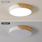 Ceiling Light - White Metal Frame, Natural Light