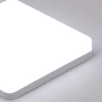 Ceiling Light - White Plastic Frame, White Light
