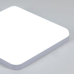 Ceiling Light - White Plastic Frame, White Light