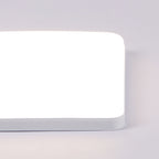 Ceiling Light - White Plastic Frame, Natural Light