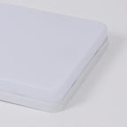 Ceiling Light - White Plastic Frame, Natural Light