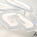 Ceiling Light - White Acrylic Frame, Tunable and Dimmable