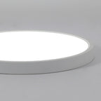 Ceiling Light - White Plastic Frame, White Light