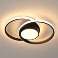 Ceiling Light - Black Metal Frame, Tunable and Dimmable