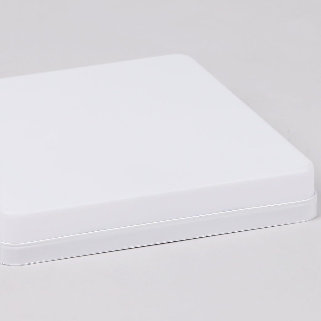 Ceiling Light - White Plastic Frame, White Light