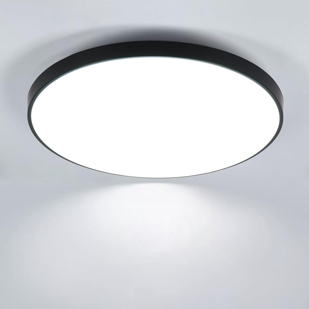 Ceiling Light - Black Plastic Frame, White Light