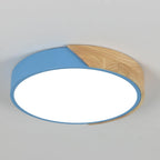 Ceiling Light - Black Metal Frame, White Light