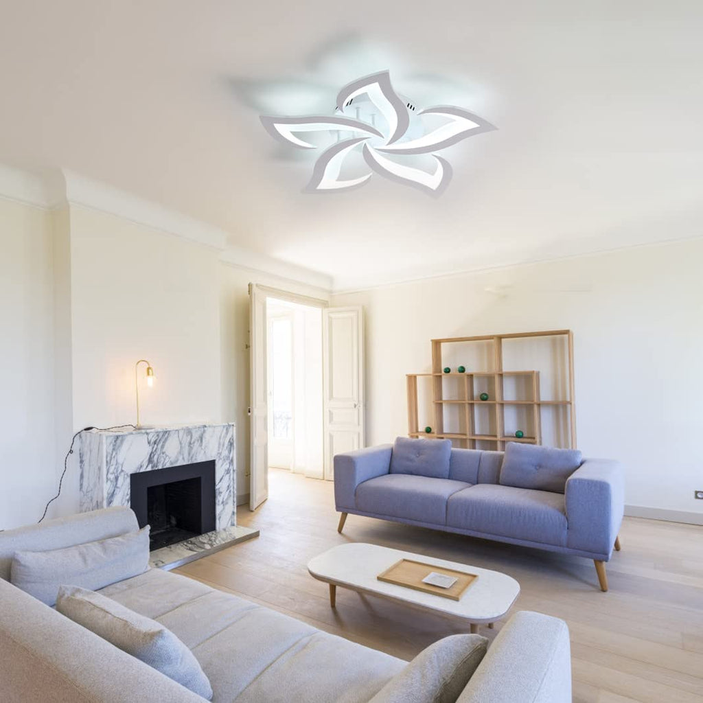 Ceiling Light - White Acrylic Frame, White Light