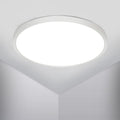 Ceiling Light - White Plastic Frame, White Light