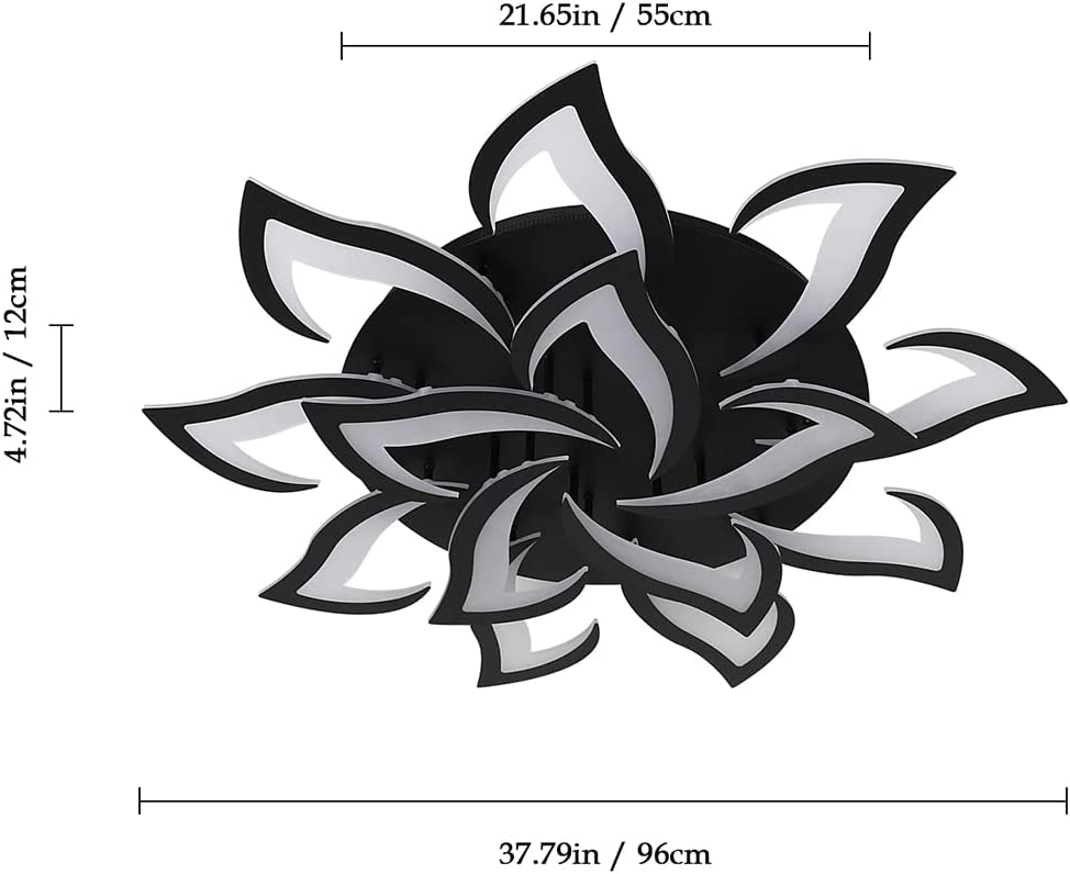 Ceiling Light - Black Acrylic Frame, Tunable and Dimmable