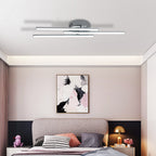 Ceiling Light - Silver Aluminium Frame, White Light