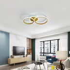Ceiling Light - Gold Acrylic Frame, White Light