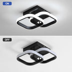Ceiling Light - Black Aluminium Frame, White Light