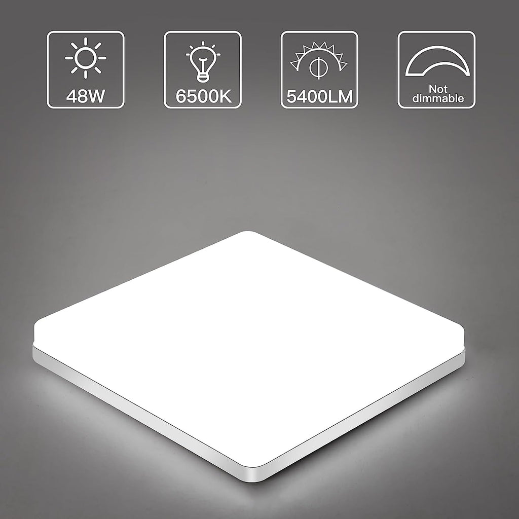 Ceiling Light - White Plastic Frame, White Light