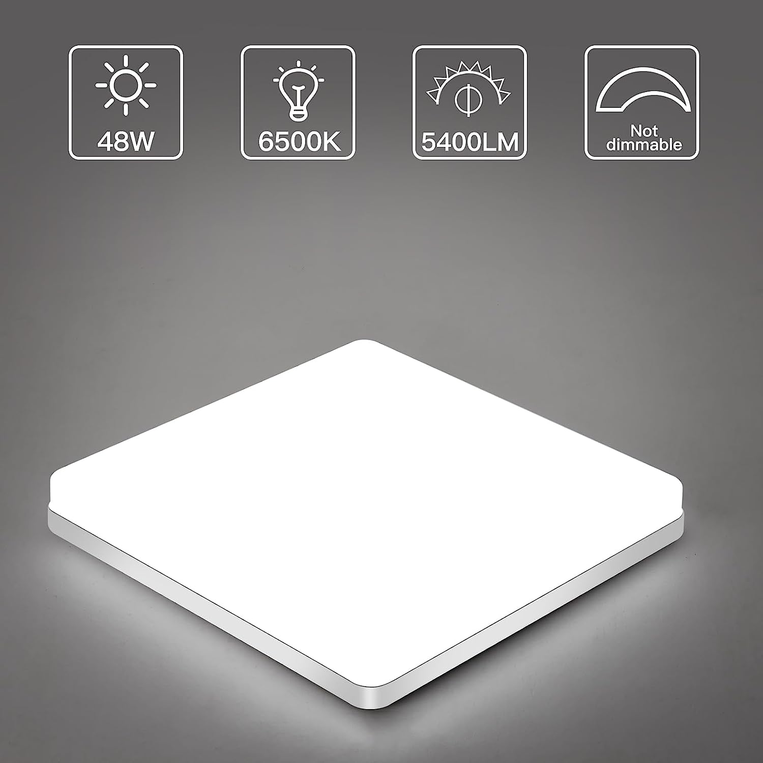 Ceiling Light - White Plastic Frame, White Light
