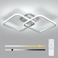 Ceiling Light - Silver Aluminium Frame, Tunable and Dimmable
