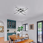 Ceiling Light - Black Aluminium Frame, White Light