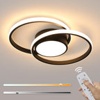 Ceiling Light - Black Metal Frame, Tunable and Dimmable
