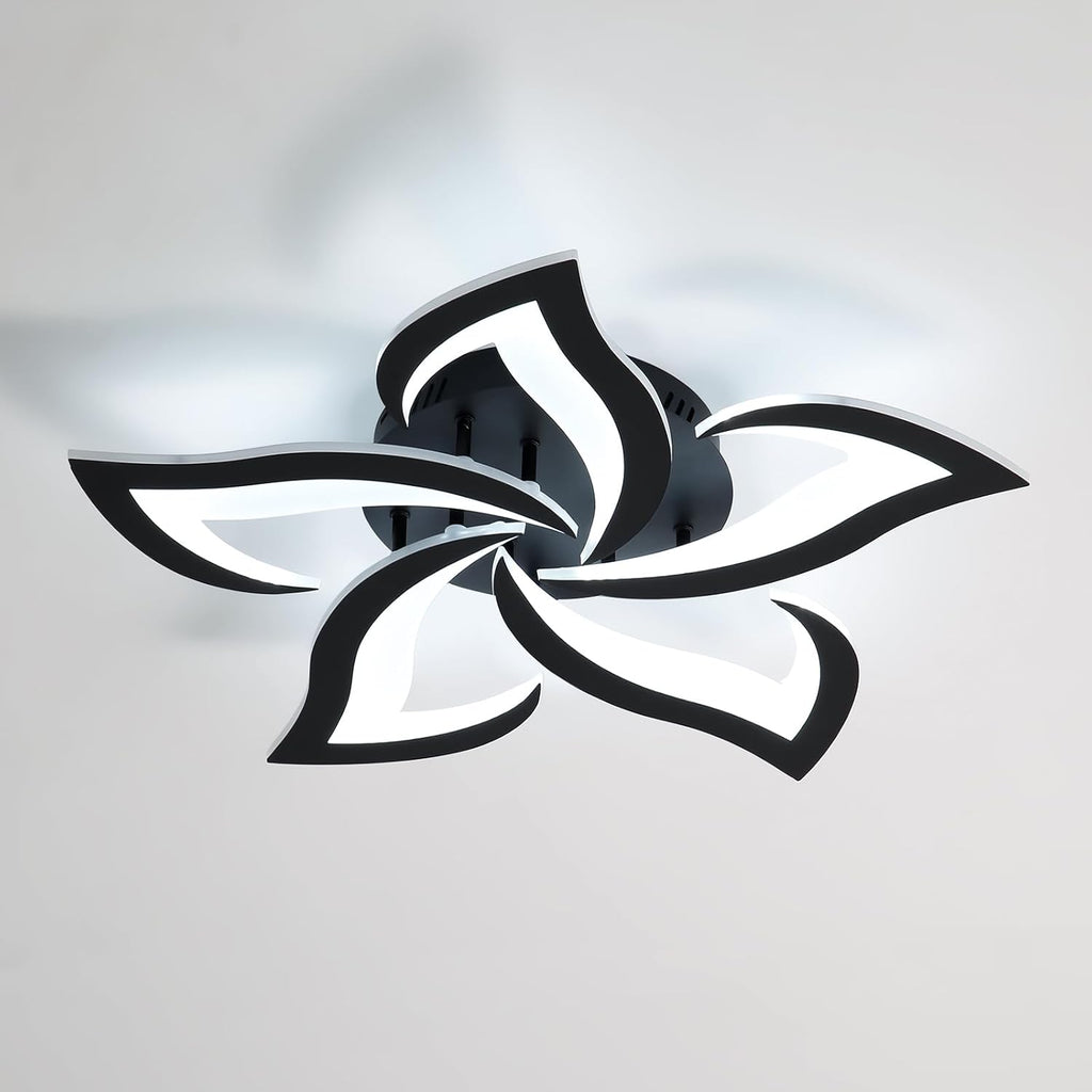 Ceiling Light - Black Acrylic Frame, White Light
