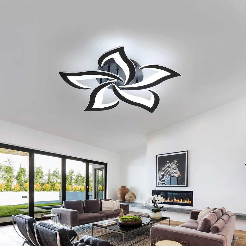 Ceiling Light - Black Acrylic Frame, White Light