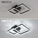 Ceiling Light - Black Acrylic Frame, White Light