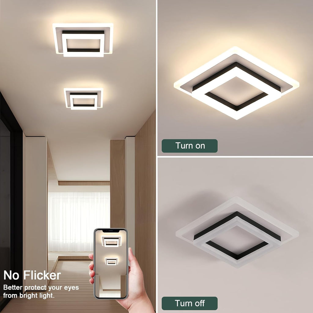 Ceiling Light - Black & White Acrylic Frame, Natural Light