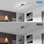 Ceiling Light - Black Aluminium Frame, White Light