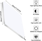 Ceiling Light - White Plastic Frame, White Light