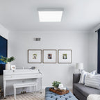 Ceiling Light - White Plastic Frame, White Light