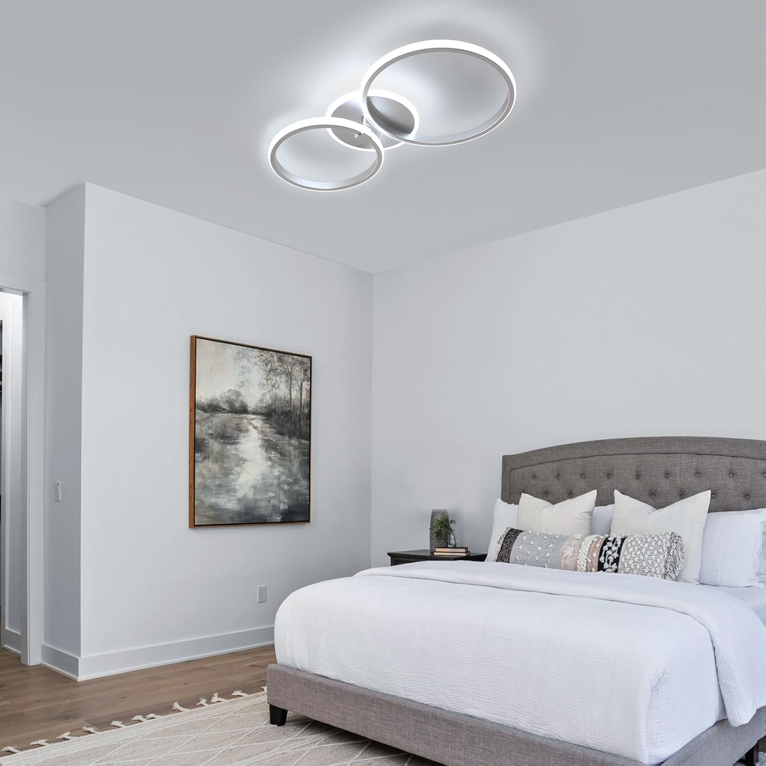 Ceiling Light - Silver Acrylic Frame, White Light