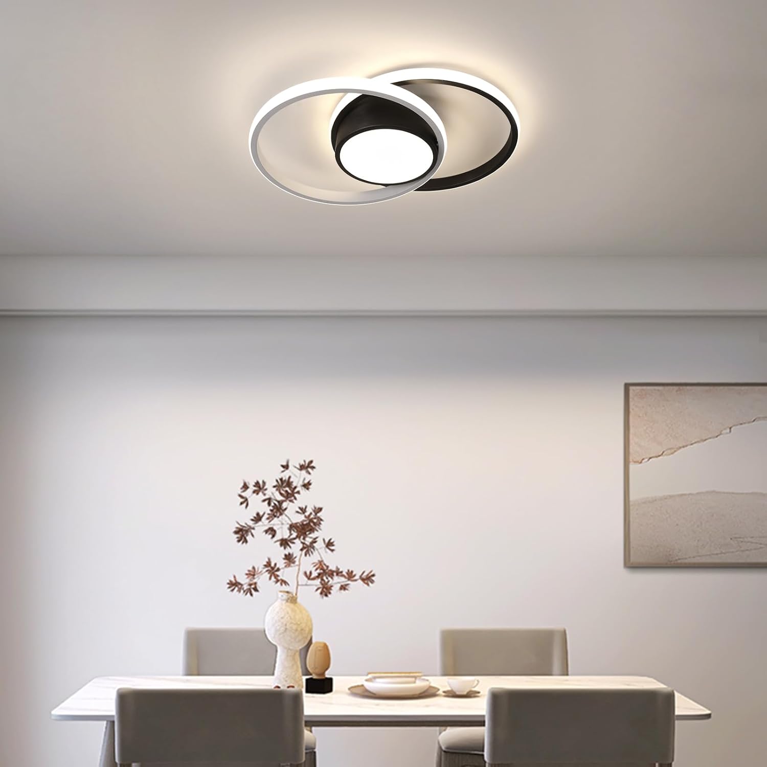 Ceiling Light - Black & White Metal Frame, Natural Light