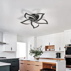 Ceiling Light - Black Acrylic Frame, White Light
