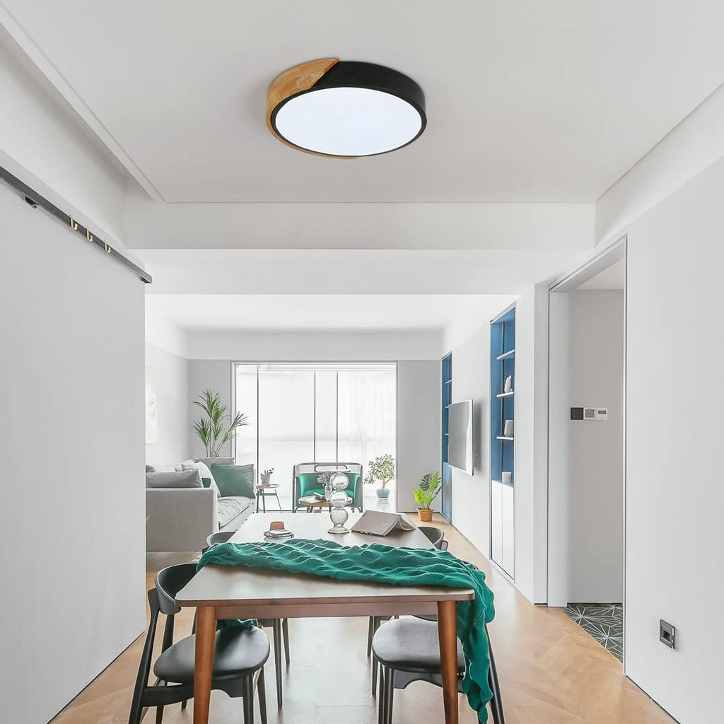 Ceiling Light - Black Metal Frame, White Light