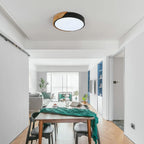 Ceiling Light - Black Metal Frame, White Light