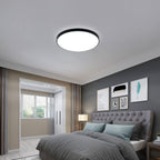 Ceiling Light - Black Plastic Frame, White Light