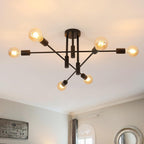 Ceiling Light - Black Metal Frame
