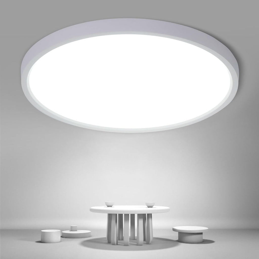 Ceiling Light - White Plastic Frame, White Light