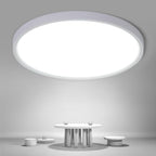 Ceiling Light - White Plastic Frame, White Light