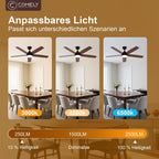 Ceiling Fan Light - Black Wood Frame, Tunable and Dimmable