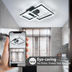 Ceiling Light - Black Acrylic Frame, White Light