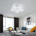Ceiling Light - White Acrylic Frame, White Light