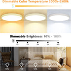 Ceiling Light - White Plastic Frame, Tunable and Dimmable