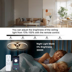 Ceiling Light - Black Aluminium Frame, Tunable and Dimmable