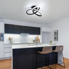 Ceiling Light - Black Aluminium Frame, White Light