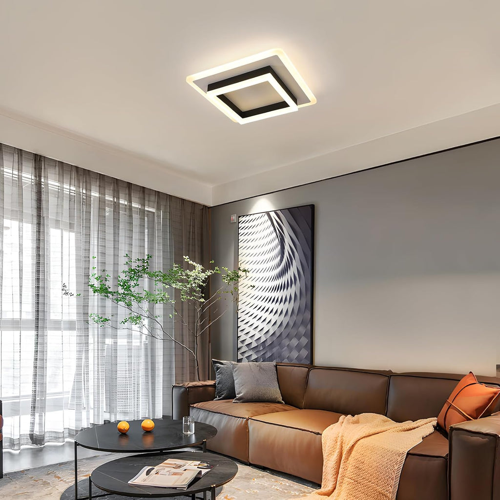Ceiling Light - Black & White Acrylic Frame, Natural Light