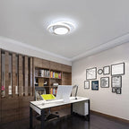 Ceiling Light - White Aluminium Frame, White Light
